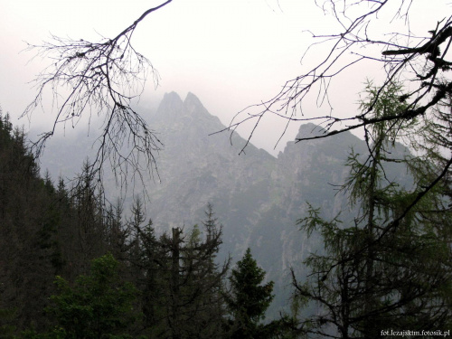 #lezajsktm #słowacja #góry #krajobrazy #przyroda #tatry #TatryWysokie