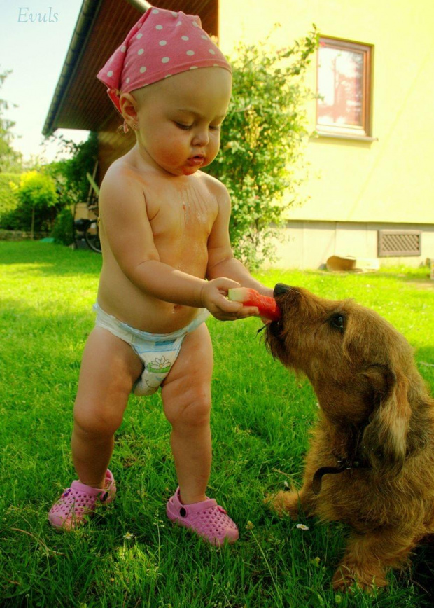 Podzielę się z tobą - mój przyjacielu :) #Maja #dzieci #jamniki #psy #zwierząta #arbuz #przyjaciele