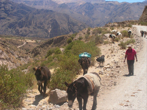 PERU