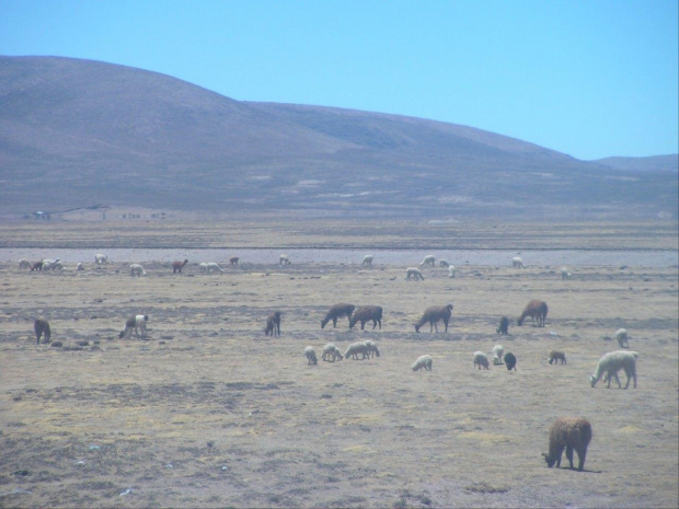 Peru