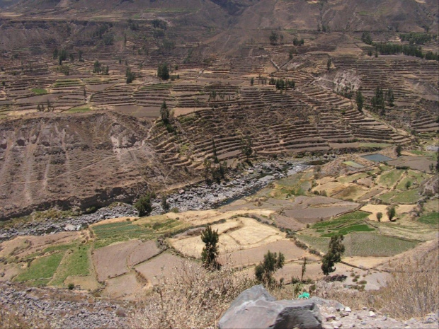 PERU