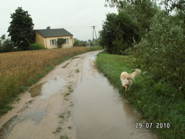 Jak juz wiecie za tym zakrętem będziemy zawracali