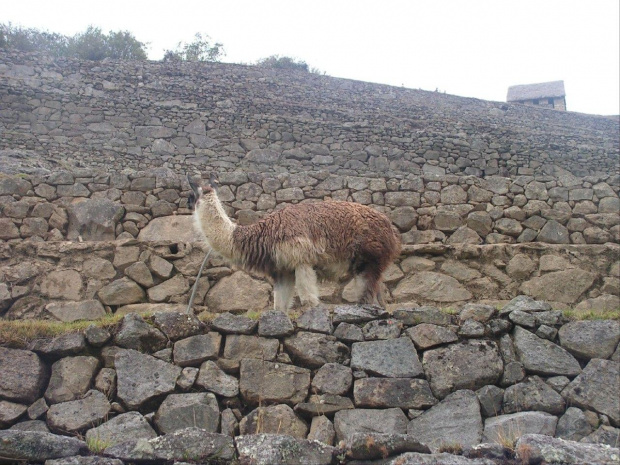 Peru