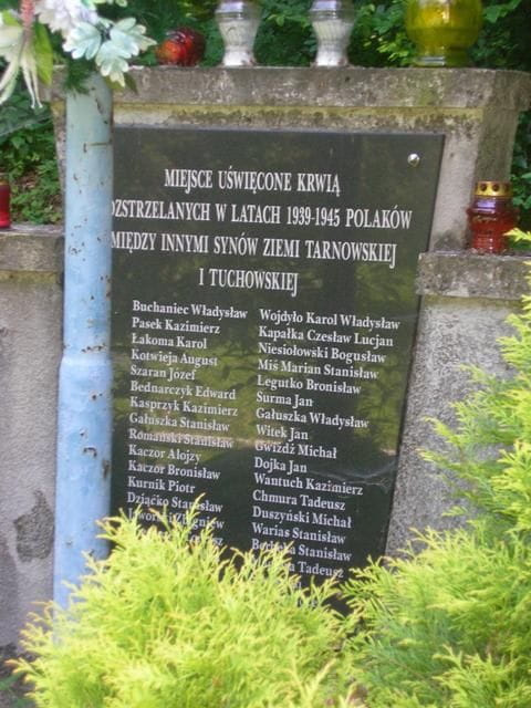 Zbylitowska Gora (małopolskie)