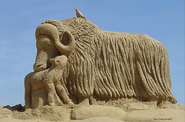 Piaskowe rzezby w Roermond 2010 #PiaskoweFigury #rzezby #Holandia #Roermond #Nederland #piasek