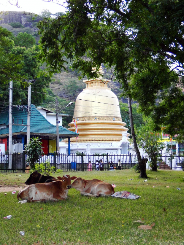 Dambulla