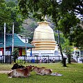 Dambulla