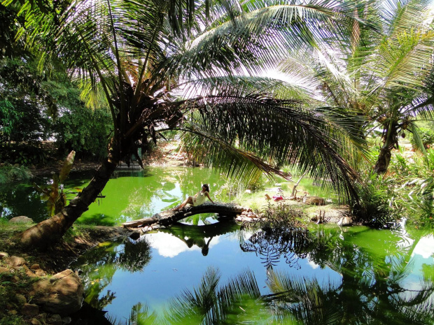 Sri Lanka.