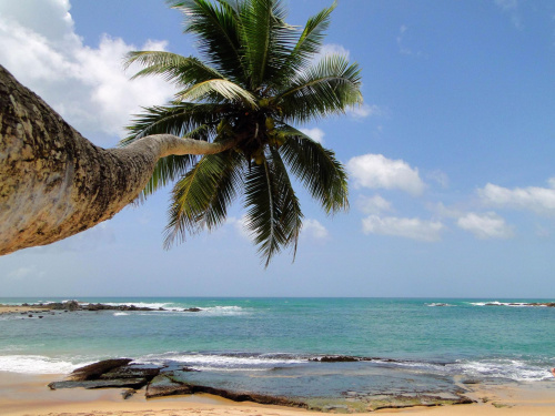 Sri Lanka. Ocean Indyjski.