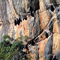 Sigiriya - skalna forteca