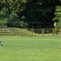 Pogoń Leżajsk - Orzeł Przeworsk (juniorzy młodsi), sparing 07.08.2010 r. #orzeł #przeworsk #OrzełPrzeworsk #pogoń #orzel #pogon #lezajsk #leżajsk #PogońLeżajsk #juniorzy #JuniorzyMłodsi #lezajsktm #sport #PiłkaNożna