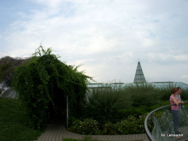 Biblioteka UW - ogród na dachu