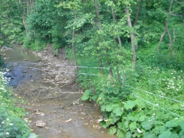 Wola Michowa (podkarpackie) - droga na kirkut
