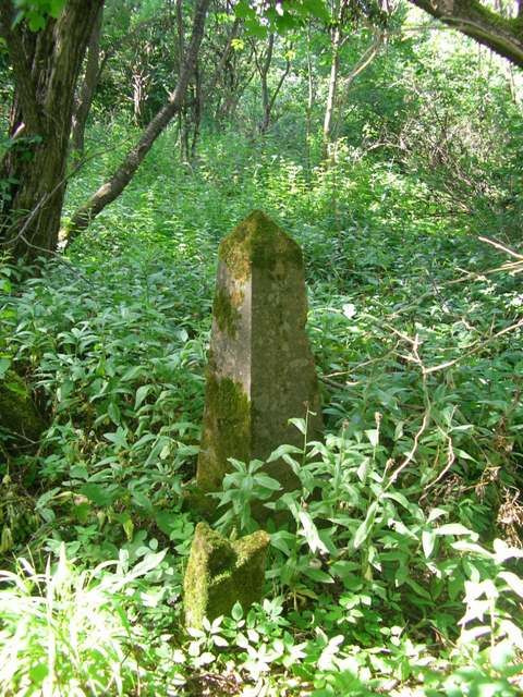 Wola Michowa (podkarpackie) - cmentarz greckokatolicki