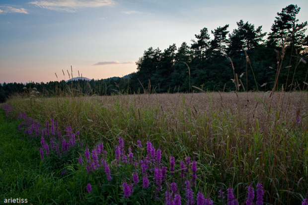 Zakątek... #wieś #lato #natura #pole #ZachódSłońca #arietiss