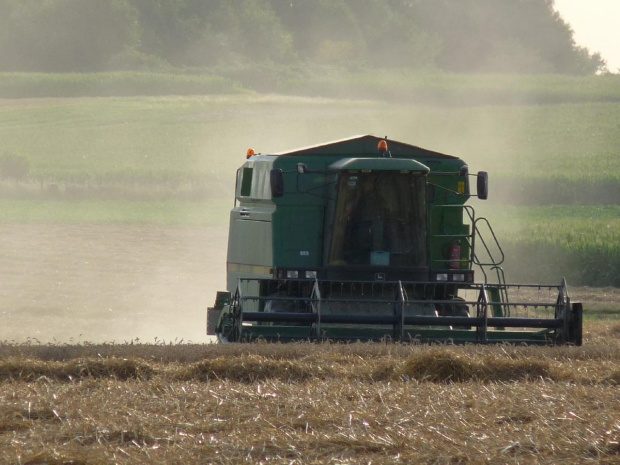 Żniwa, żniwa i po żniwach #żniwa #JohnDeere #traktor #kombajn #ciągnik #przyczepa #zboże #snopki