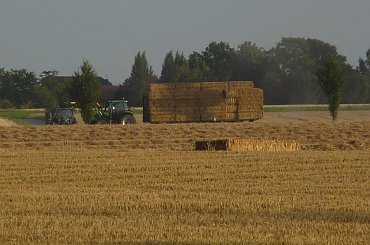 #żniwa #traktor #ciągnik #snopki #słoma