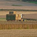 #żniwa #traktor #ciągnik #snopki #presa #słoma