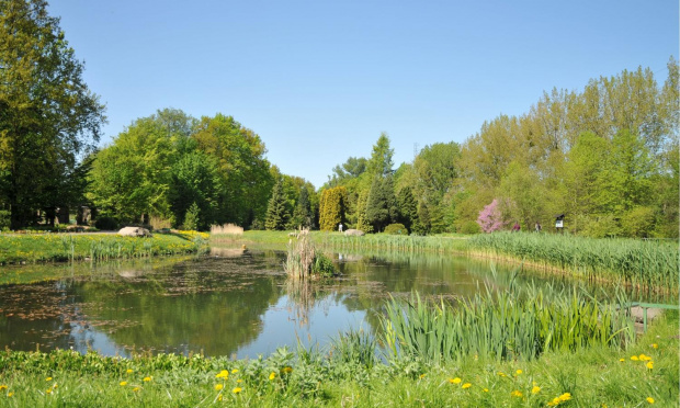 Spacer po ogrodzie botanicznym w Poznaniu - jeszcze majowy.