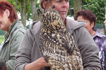 Park Archeologiczny w Xanten (Archologiepark Xanten) #park #archeologia #Xanten #Rzymianie #Niemcy #Archologiepark
