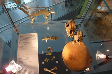 Park Archeologiczny w Xanten (Archologiepark Xanten) #park #archeologia #Xanten #Rzymianie #Niemcy #Archologiepark