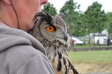 Park Archeologiczny w Xanten (Archologiepark Xanten) #park #archeologia #Xanten #Rzymianie #Niemcy #Archologiepark