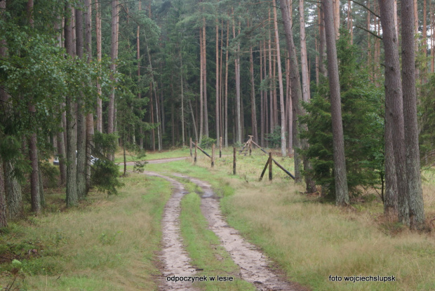 cisza i spokój
