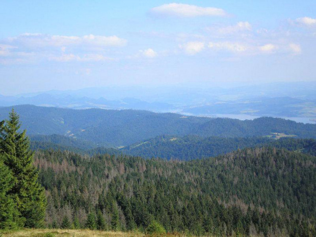Gorce - Jezioro Czorsztyńskie i Pieniny z Hali Młyńskiej #góry #beskidy #gorce #turbacz #rower