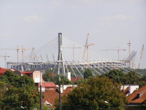 Stadion-coś tam dziubią ...