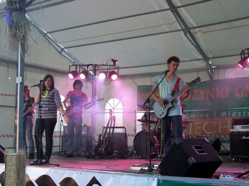 dożynki gminne Falniów 2010 #mdkmiechow