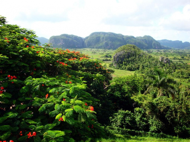 Dolina Vinales - napiękniejsza na Kubie #Kuba #Vinales