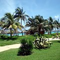 Varadero - Plaża przy hotelu Villa Tortuga #Kuba #Varadero