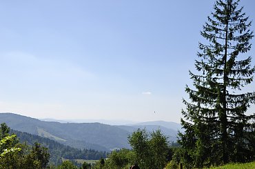 Szczyrk #szczyrk #góry #las #drzewa