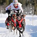 Moja czwórka startowa podczas wygranej walki o 3 miejsce na Mistrzostwach Skandynawii w 2010 roku. Hamar Norwegia.