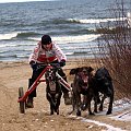 Trening mojej czwórki na plaży w Sobieszewie.