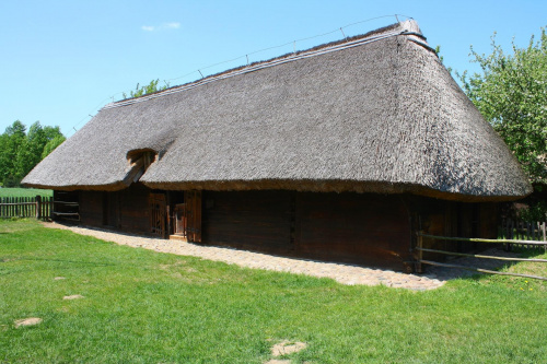 Stodoła znajdująca się w Wielkopolskim Parku Etnograficznym w Dziekanowicach.