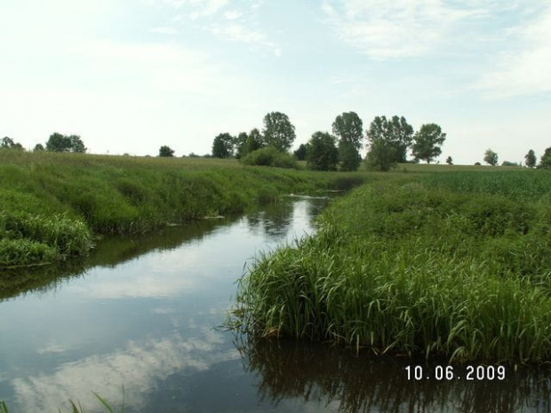 To coś jasnego u góry to Lady pod prąd