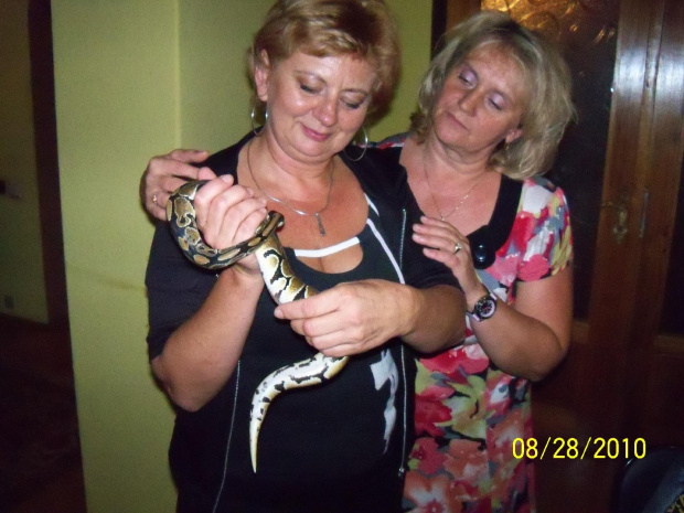 Przyjaciółka Gabi trzyma małego pytona, ja stoję obok i podziwiam....węża.