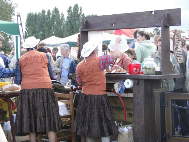 Dni Powiatu Gostyńskiego 2010