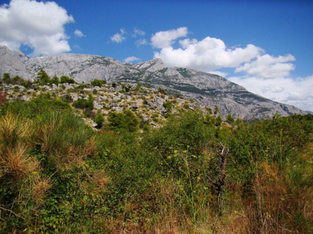 Makarska