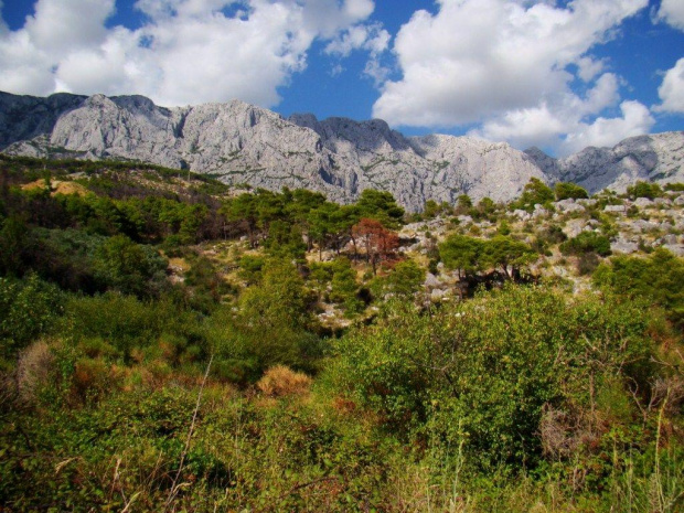 Makarska