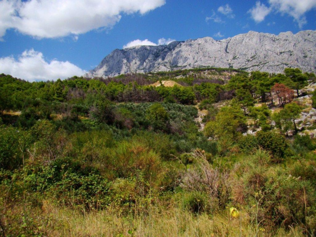 Makarska