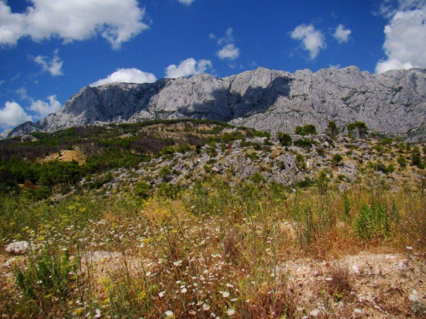 Makarska