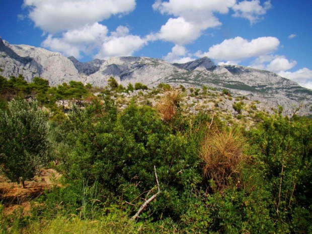 Makarska