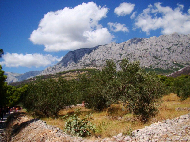 Makarska