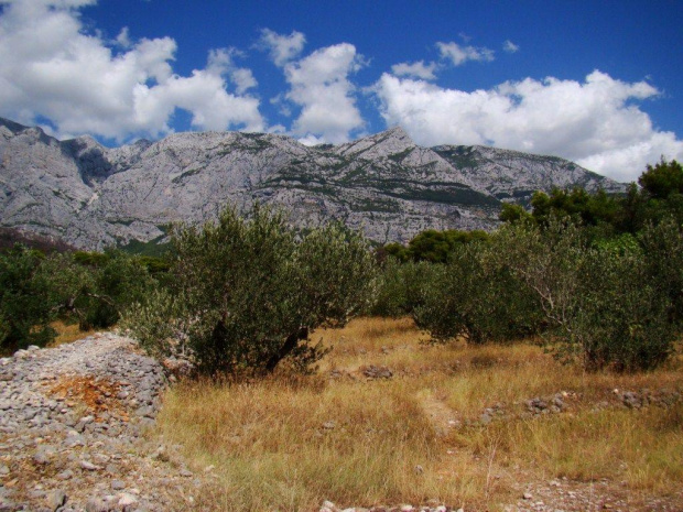 Makarska