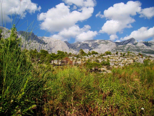 Makarska