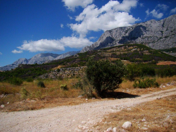 Makarska