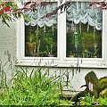 Dojrzalam w oknie stroza domu i ogrodu...:)