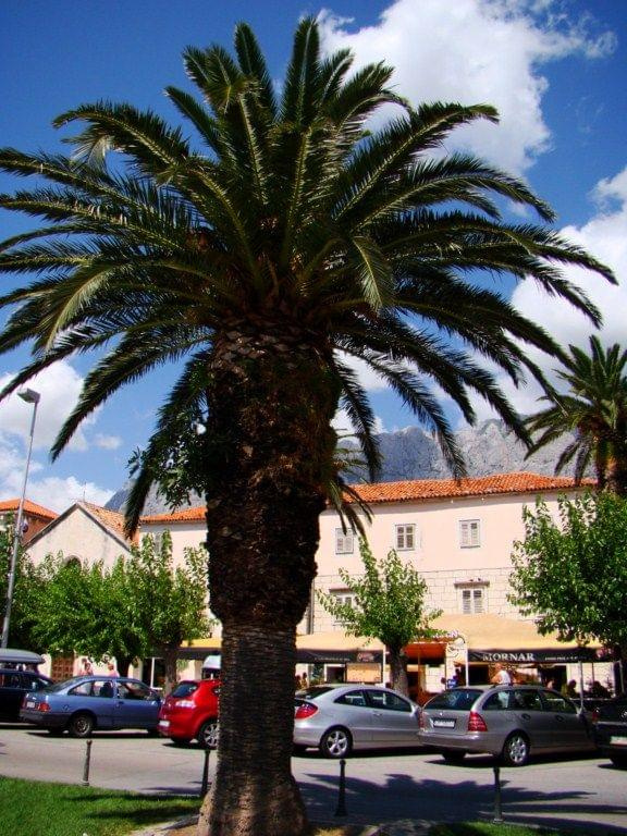 Makarska